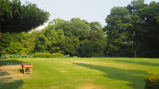 Shirakawa Park