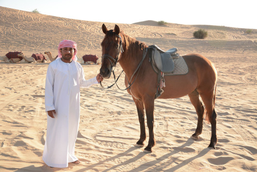 Things to Do In the Dubai Desert