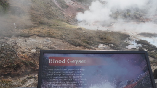 Blood Geyser