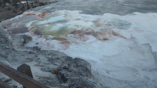 Mammoth Hot Springs - Canary Spring