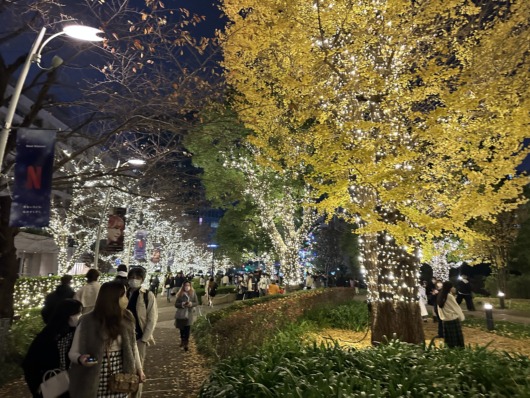 Roppongi Hills Winter Illumination 2022