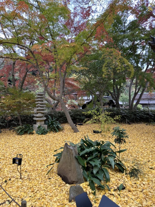 Sankeien Garden 横浜三溪園