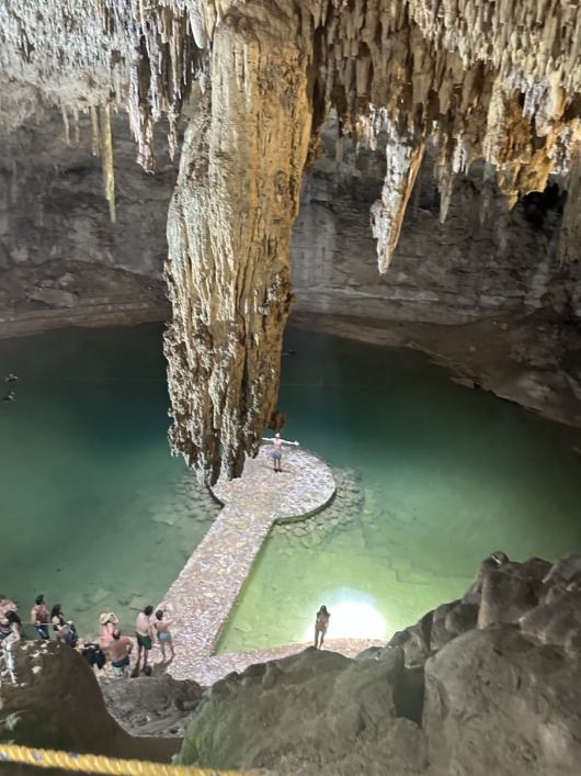 Get Up Close and Personal with Turtles and Dive into Cenotes in