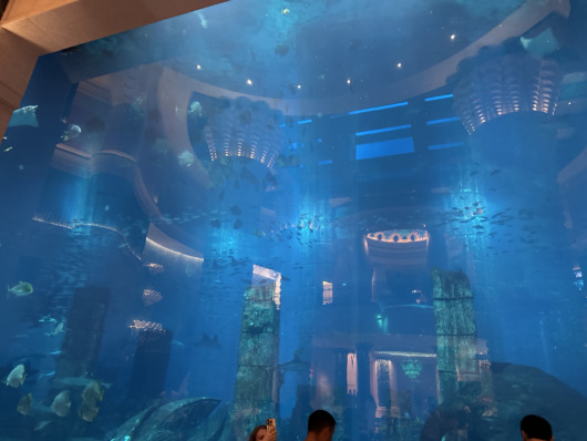 Atlantis, The Palm - Dubai